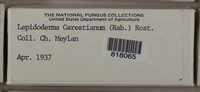 Image Associated With the Occurence